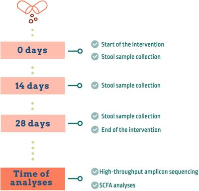 Evaluation of the Effects of a Short Supplementation With Tannins on the Gut Microbiota of Healthy Subjects